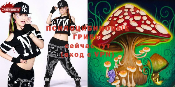 стафф Абаза